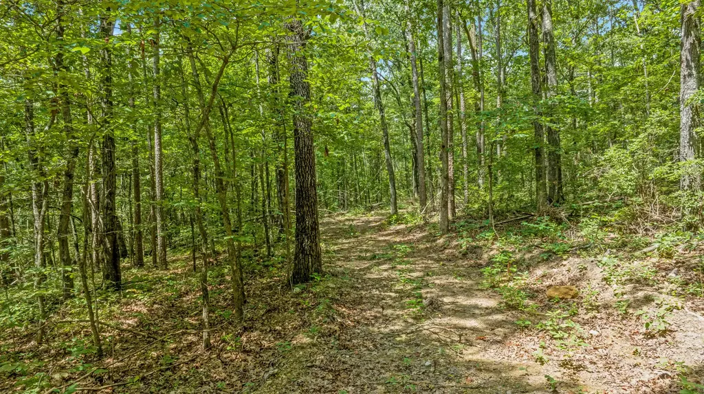0 Smith Gap Road Fort Payne AL 35968
