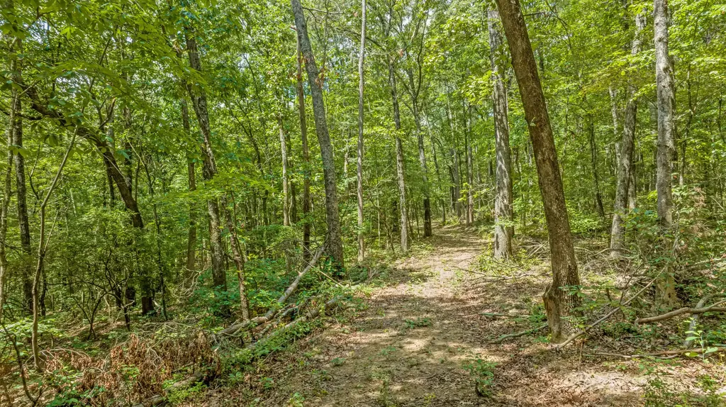 0 Smith Gap Road Fort Payne AL 35968
