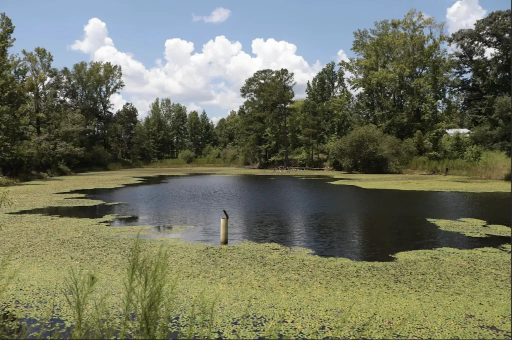 839 Co Road 109 Montevallo AL 35115