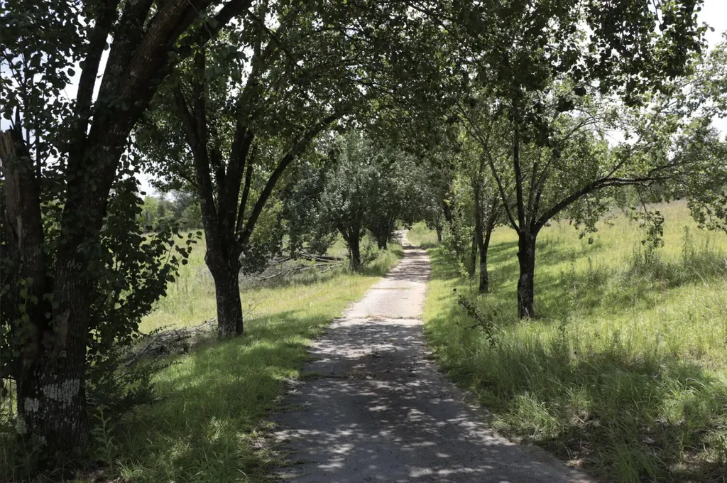 839 Co Road 109 Montevallo AL 35115