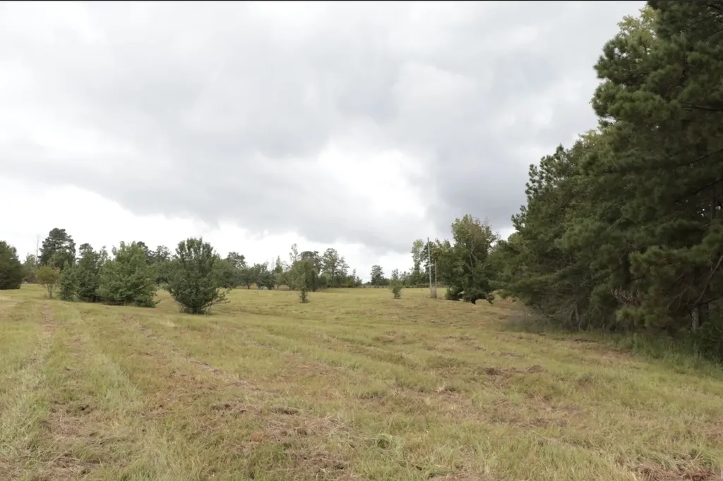 839 Co Road 109 Montevallo AL 35115