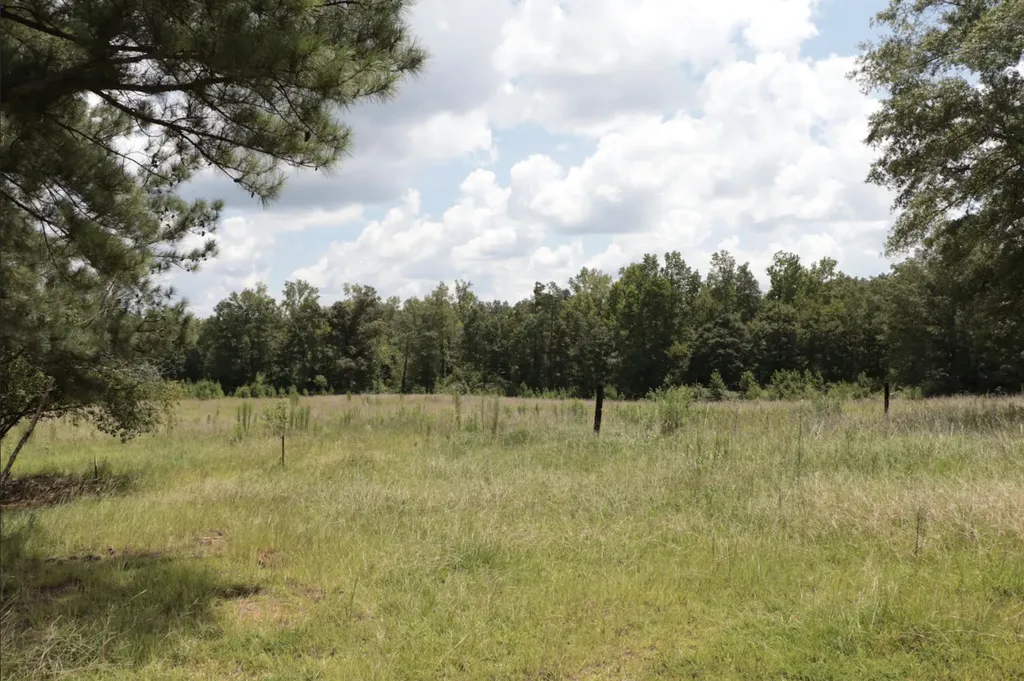 839 Co Road 109 Montevallo AL 35115