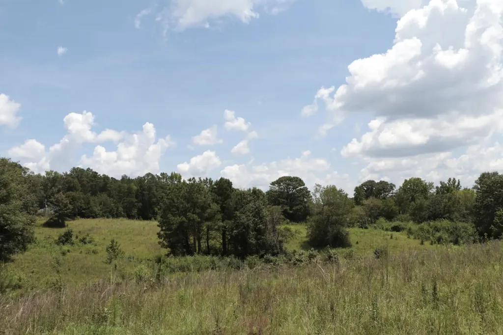 839 Co Road 109 Montevallo AL 35115