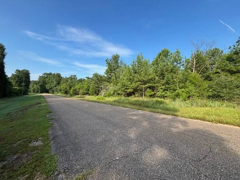 00 Good Hope Road Dozier AL 36028