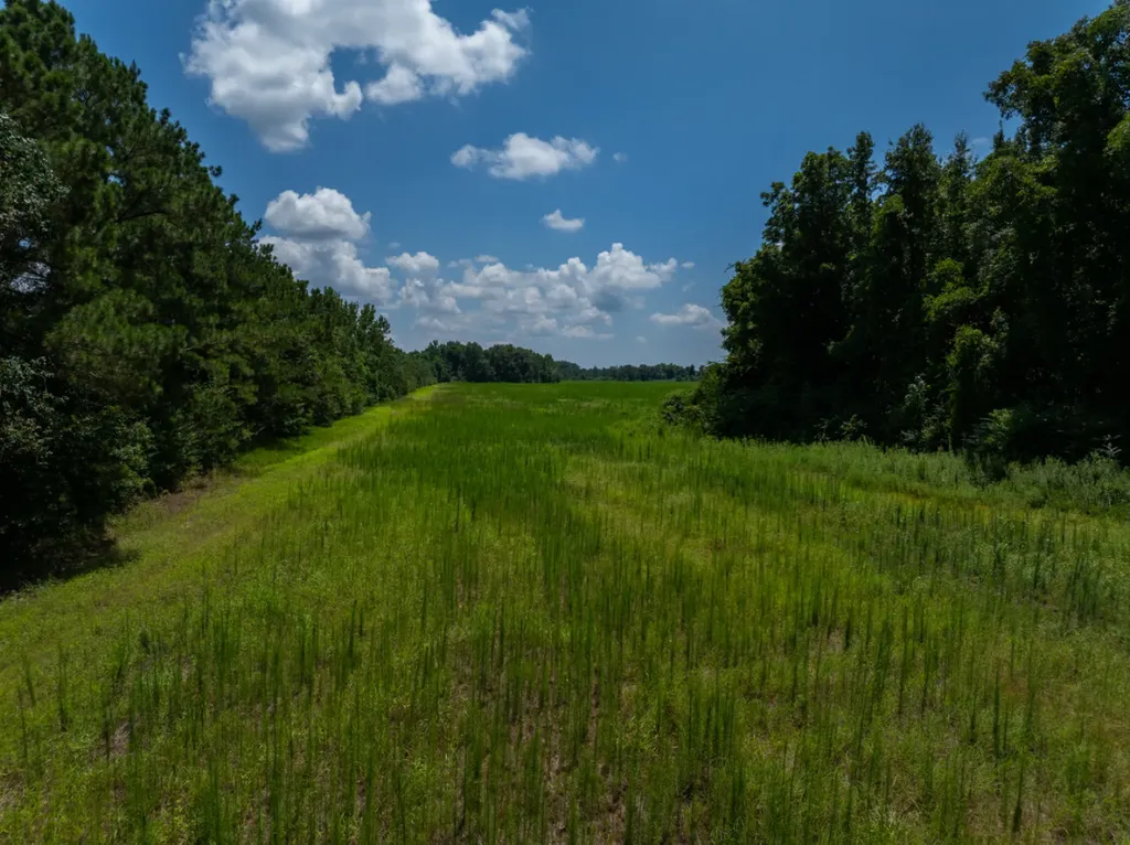 0 Highway 225 Bay Minette AL 36507