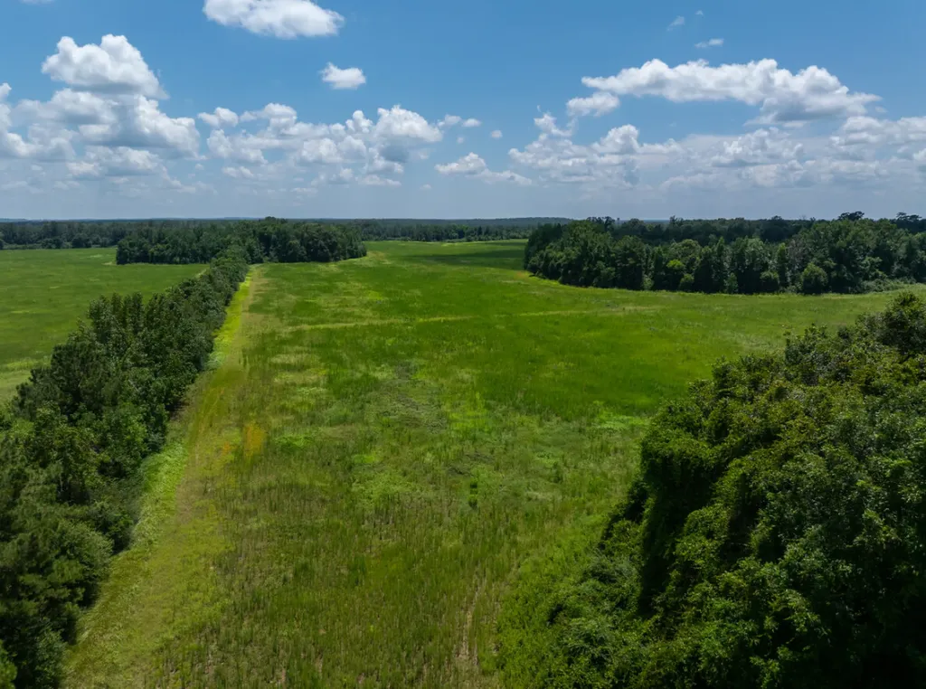 0 Highway 225 Bay Minette AL 36507