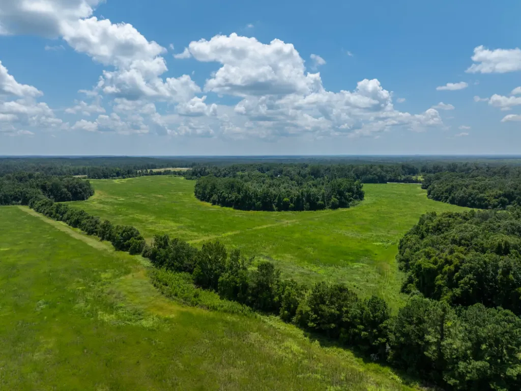 0 Highway 225 Bay Minette AL 36507