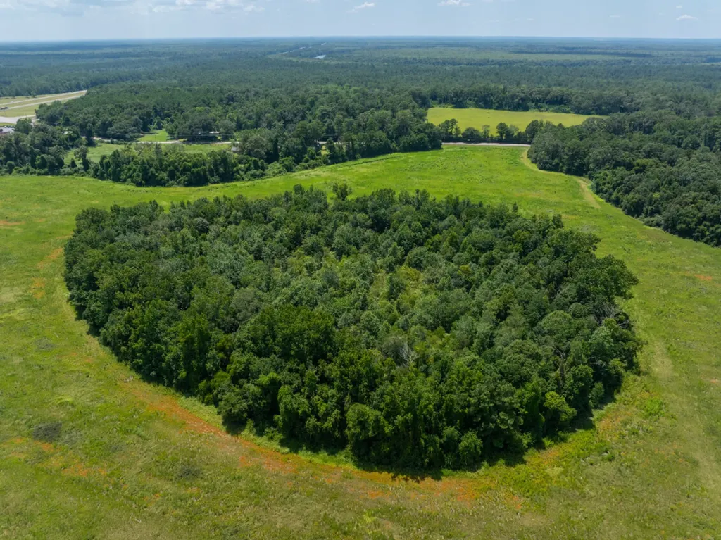 0 Highway 225 Bay Minette AL 36507