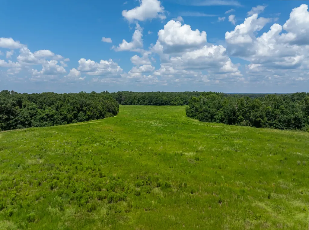 0 Highway 225 Bay Minette AL 36507