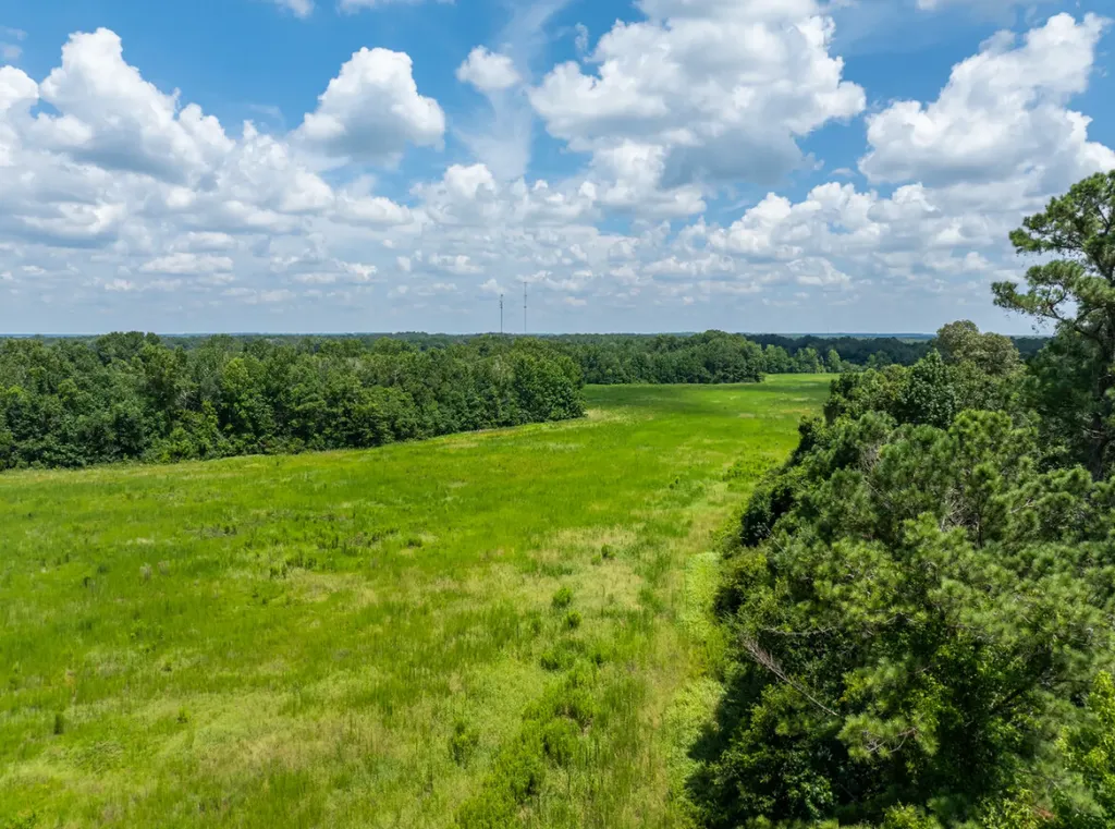0 Highway 225 Bay Minette AL 36507
