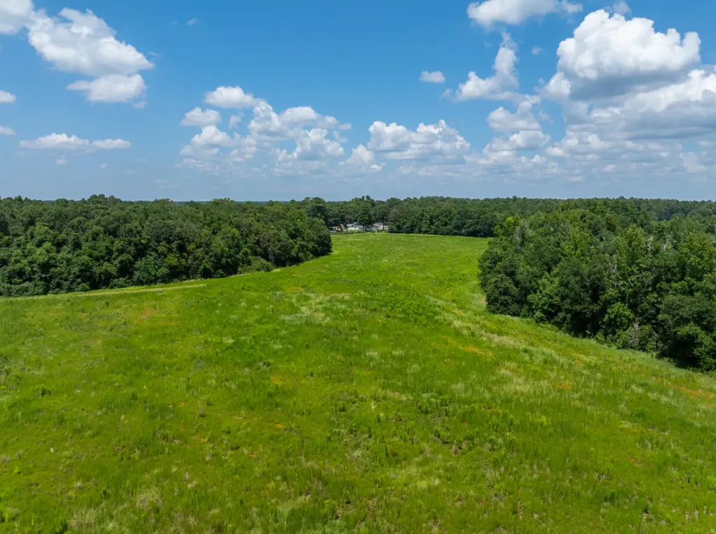 0 Highway 225 Bay Minette AL 36507