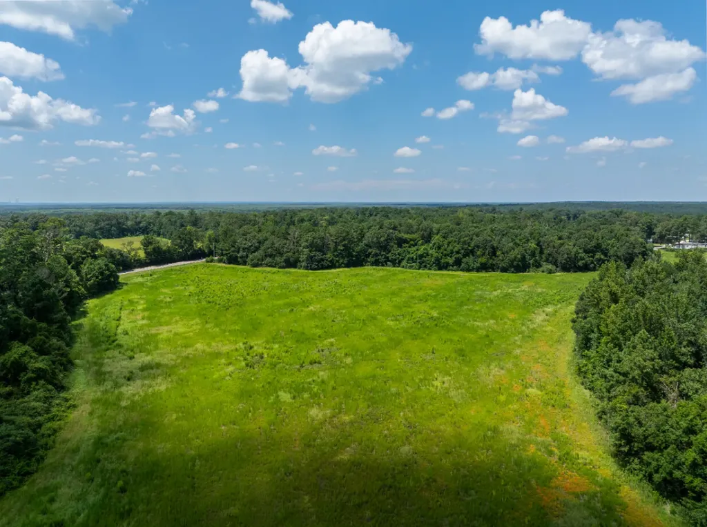 0 Highway 225 Bay Minette AL 36507