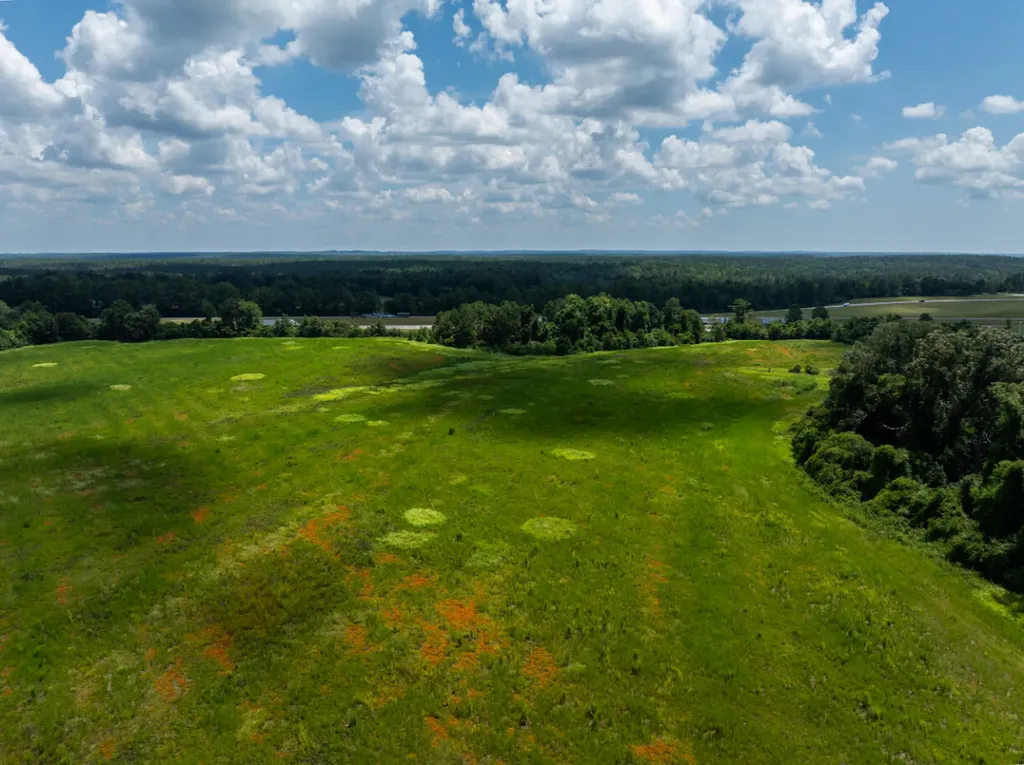 0 Highway 225 Bay Minette AL 36507