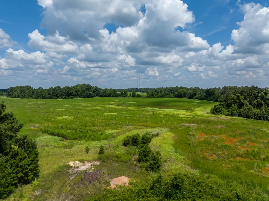 0 Highway 225 Bay Minette AL 36507