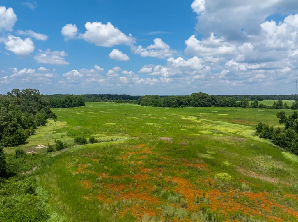 0 Highway 225 Bay Minette AL 36507