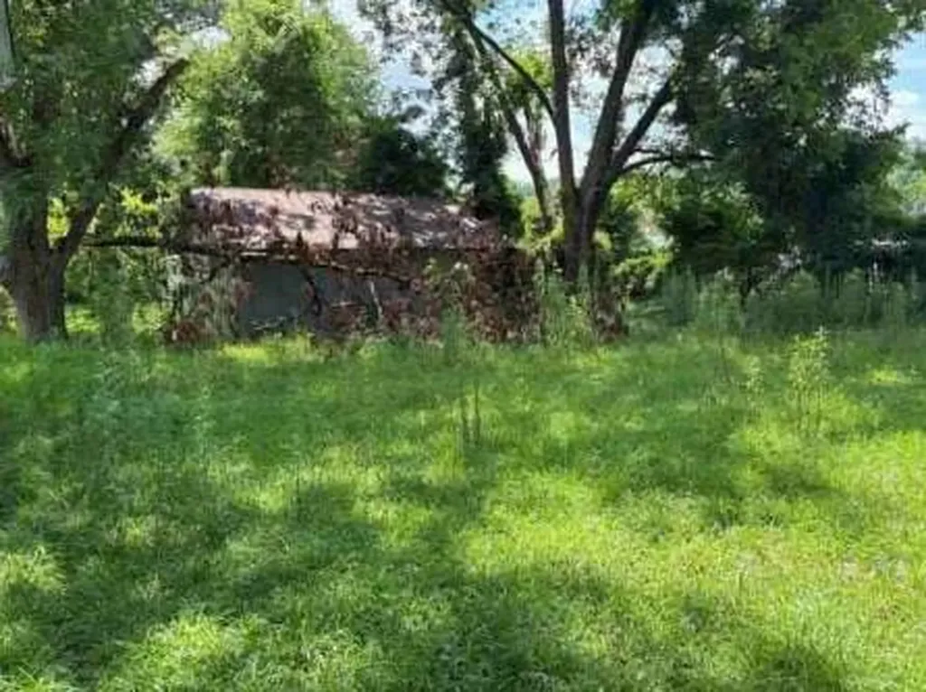 19 41st E Street Tuscaloosa AL 35405