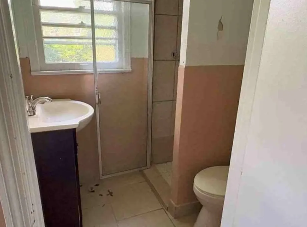 19 41st E Street Tuscaloosa AL 35405