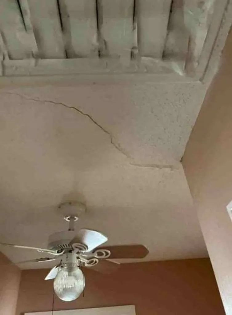 19 41st E Street Tuscaloosa AL 35405