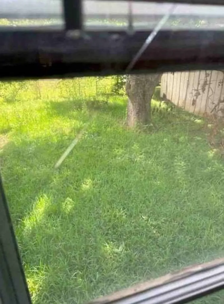 19 41st E Street Tuscaloosa AL 35405