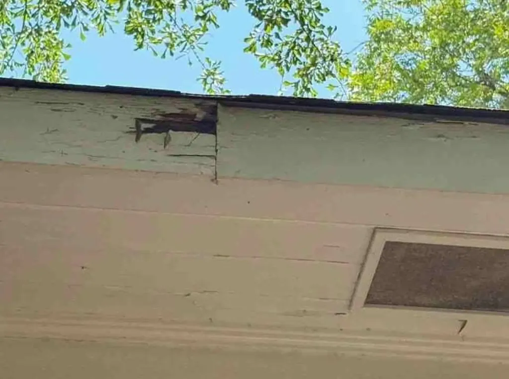 19 41st E Street Tuscaloosa AL 35405