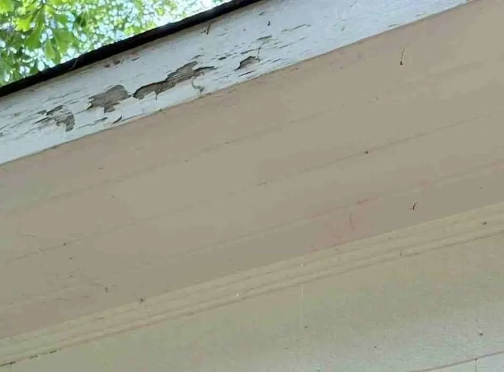 19 41st E Street Tuscaloosa AL 35405