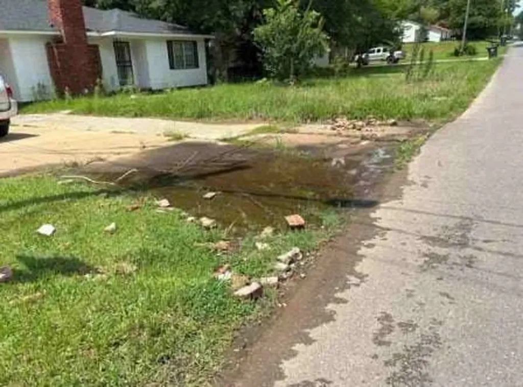 19 41st E Street Tuscaloosa AL 35405