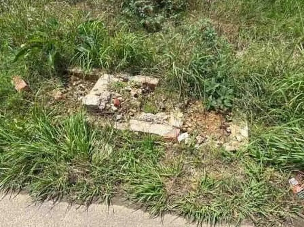 19 41st E Street Tuscaloosa AL 35405