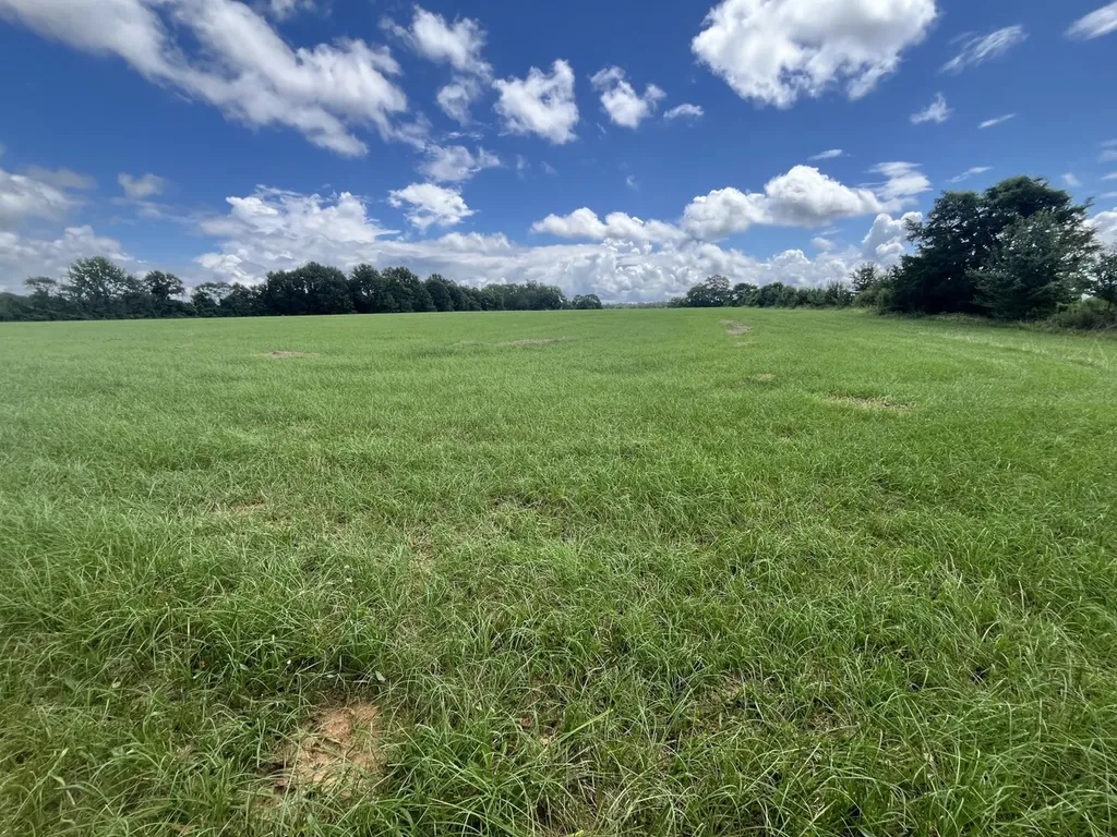 0001 Glaze Ferry Road Vincent AL 35078