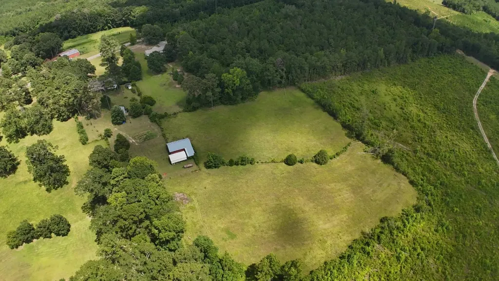 2706 Perry's Chapel Road Gainestown AL 36545