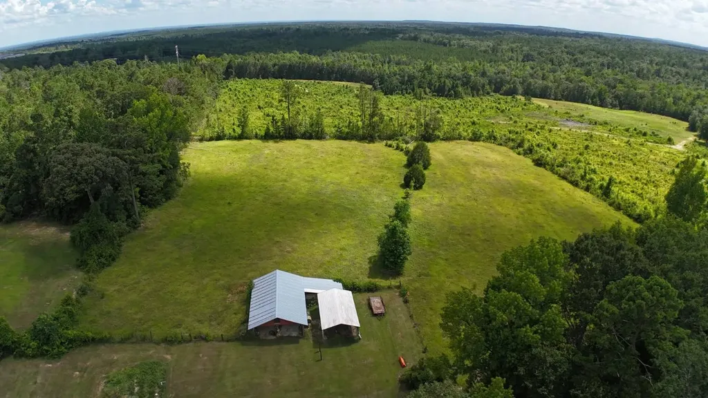 2706 Perry's Chapel Road Gainestown AL 36545