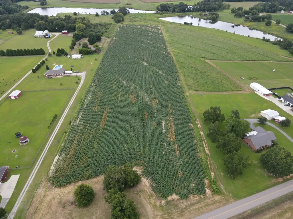 0 Fortner Street Wicksburg AL 36352