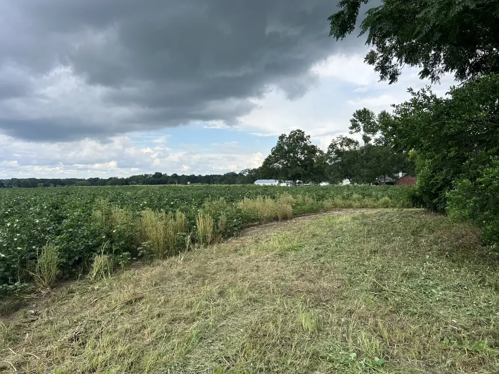 0 Fortner Street Wicksburg AL 36352