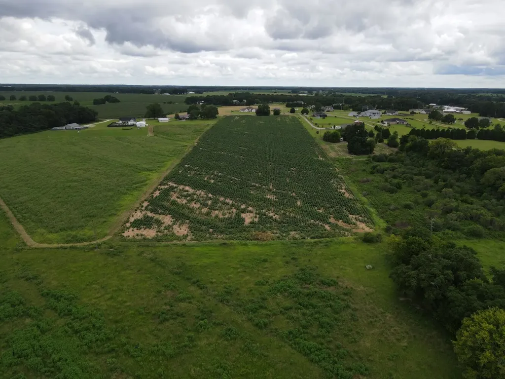 0 Fortner Street Wicksburg AL 36352