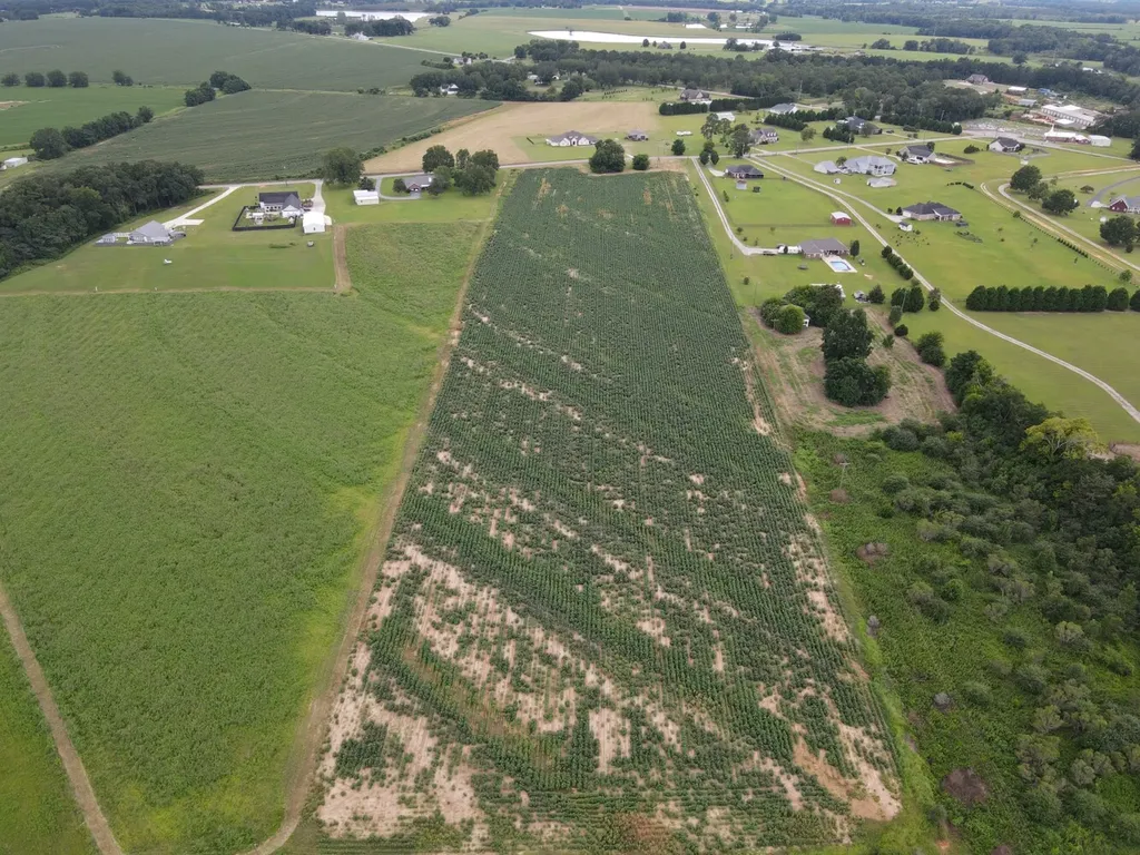 0 Fortner Street Wicksburg AL 36352