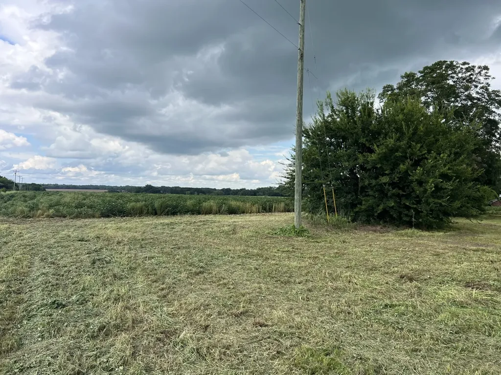 0 Fortner Street Wicksburg AL 36352