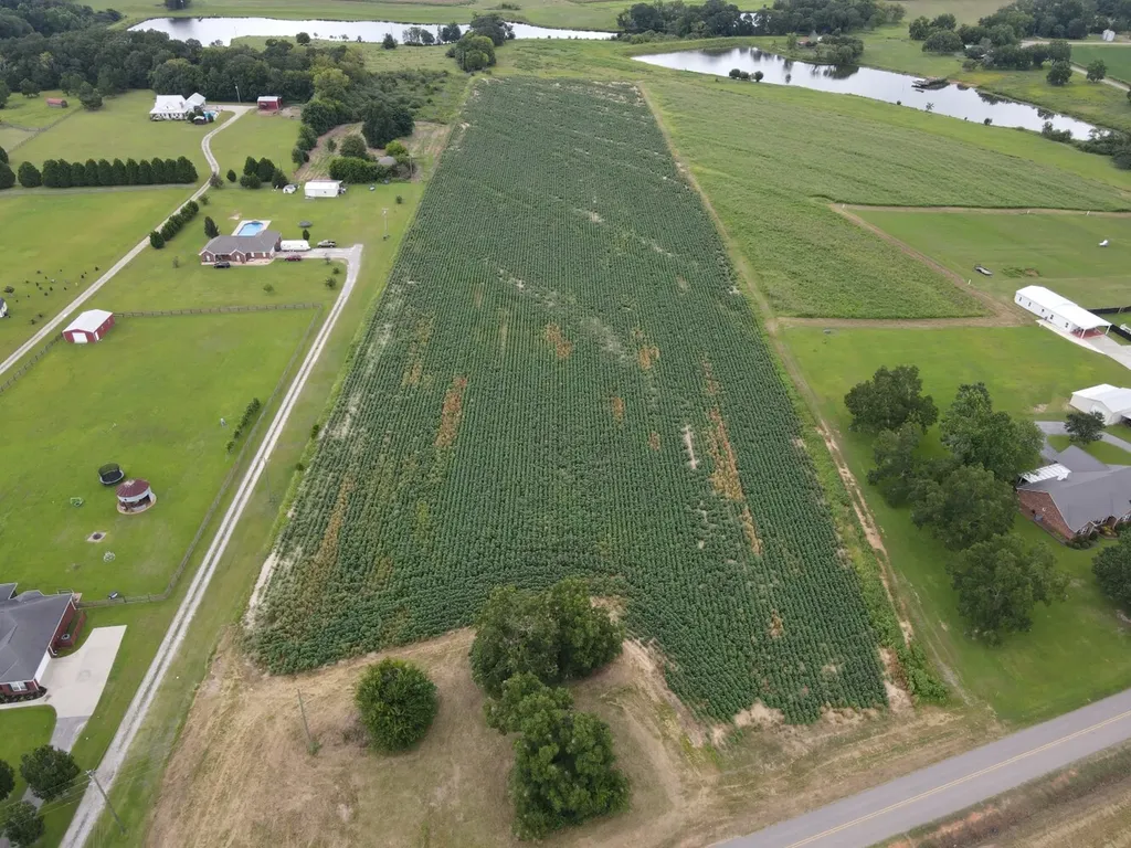 0 Fortner Street Wicksburg AL 36352