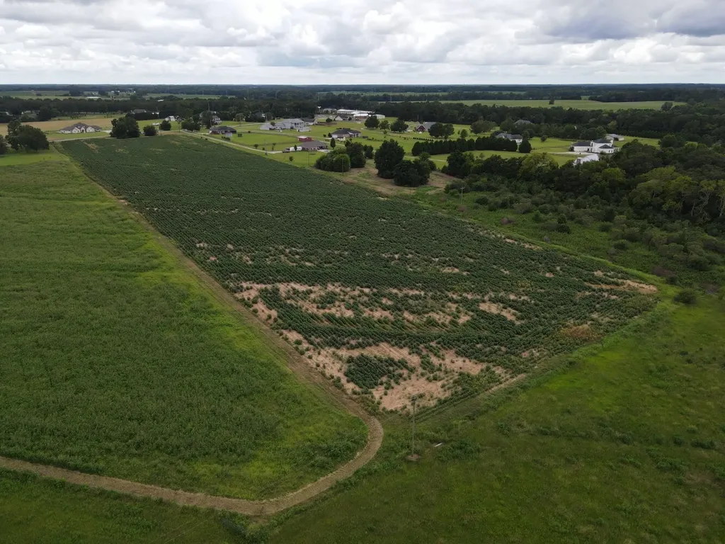 0 Fortner Street Wicksburg AL 36352