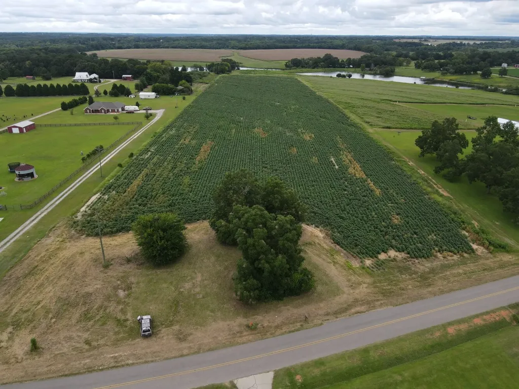 0 Fortner Street Wicksburg AL 36352