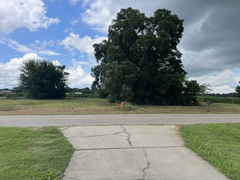 0 Fortner Street Wicksburg AL 36352