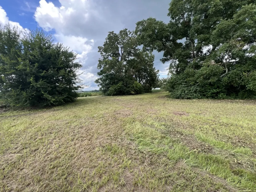 0 Fortner Street Wicksburg AL 36352