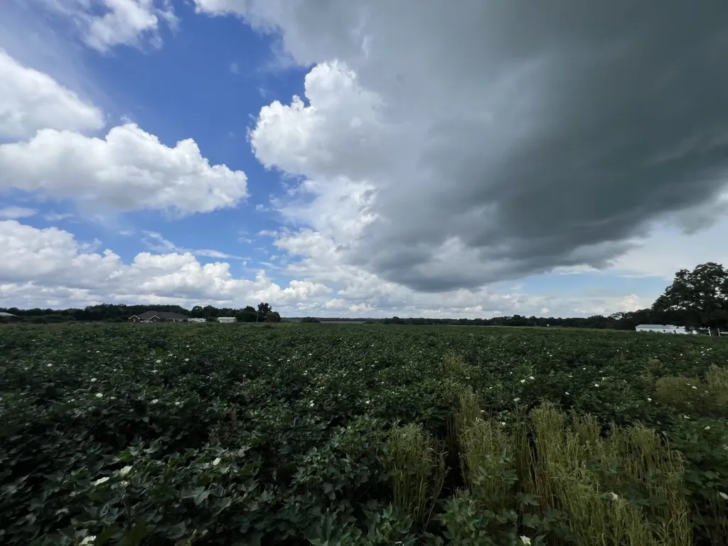 0 Fortner Street Wicksburg AL 36352