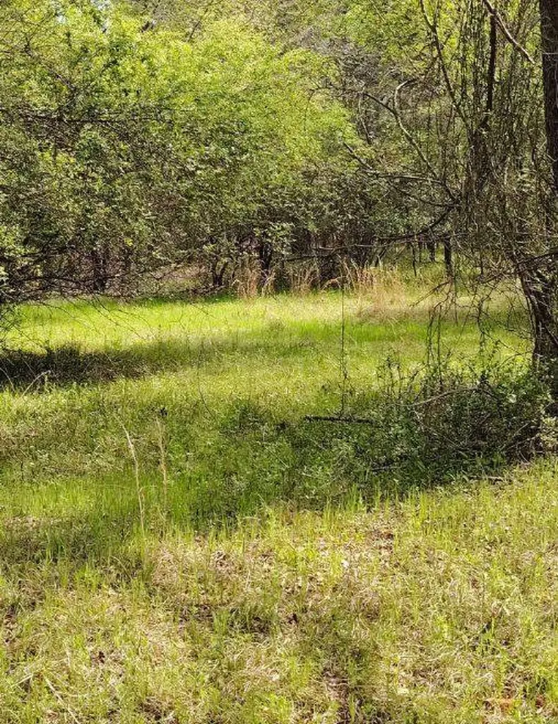 1799 Mitchell Creek Road Wetumpka AL 36093