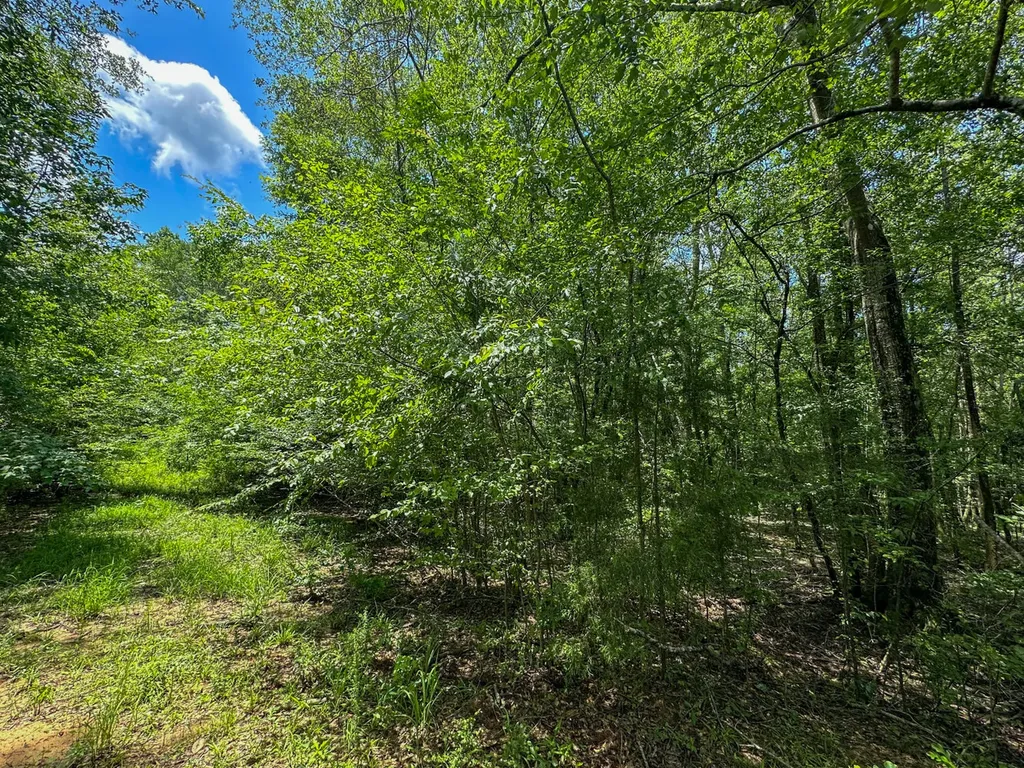 0 Oakley Road Hybart AL 36452
