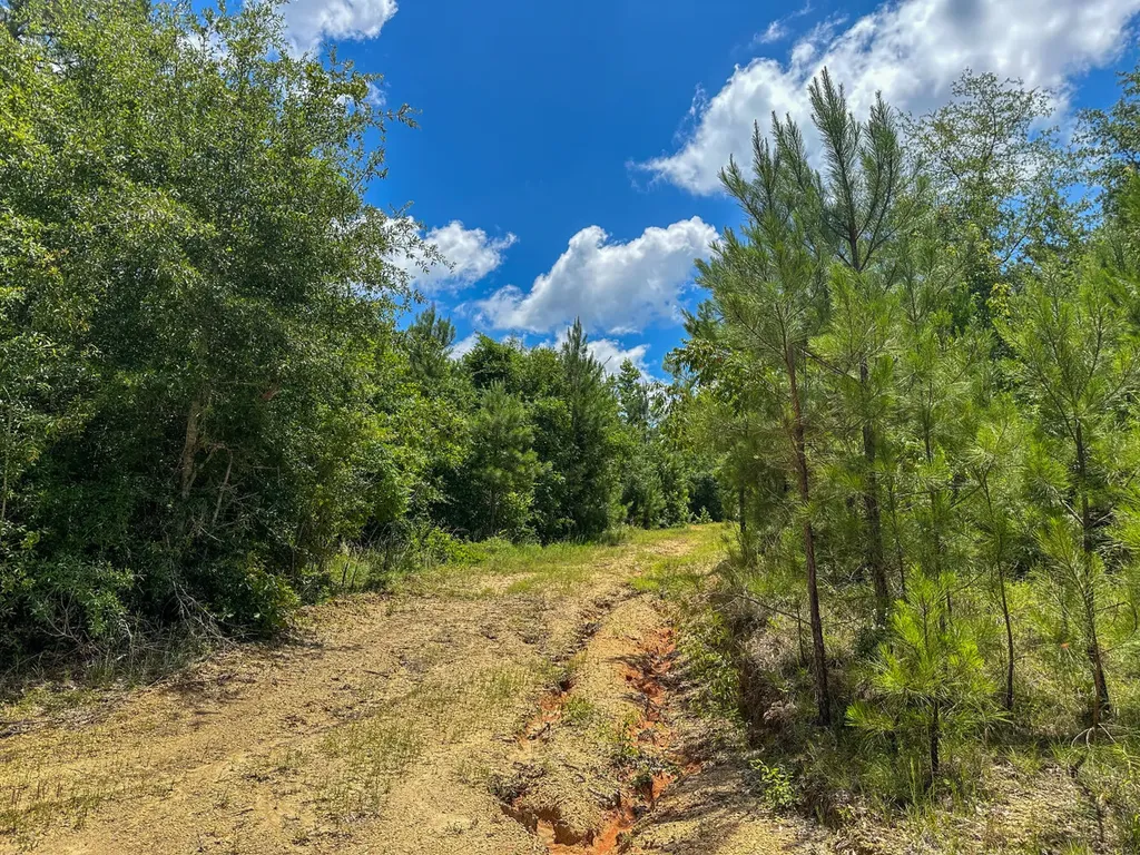 0 Oakley Road Hybart AL 36452