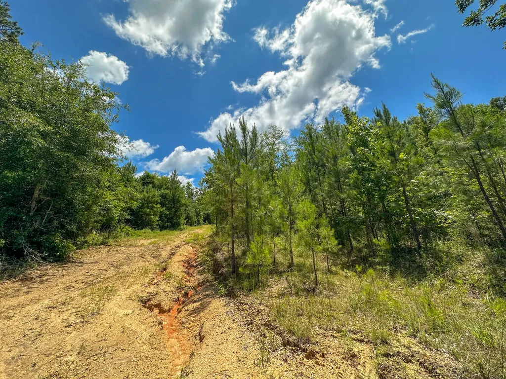 0 Oakley Road Hybart AL 36452