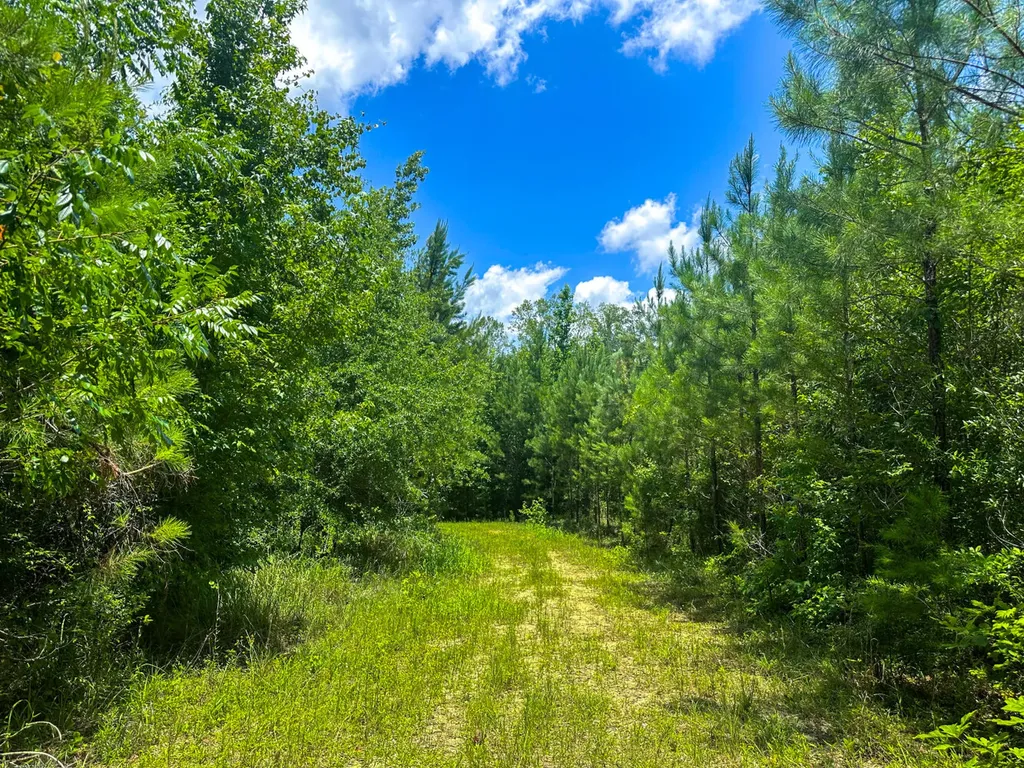 0 Oakley Road Hybart AL 36452