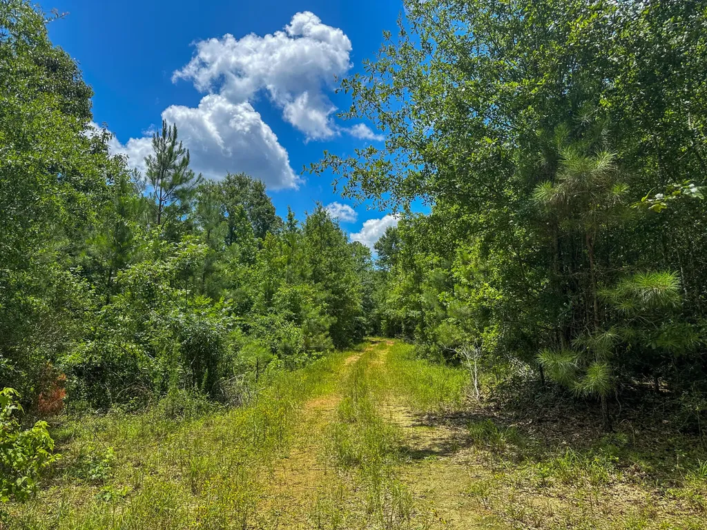 0 Oakley Road Hybart AL 36452