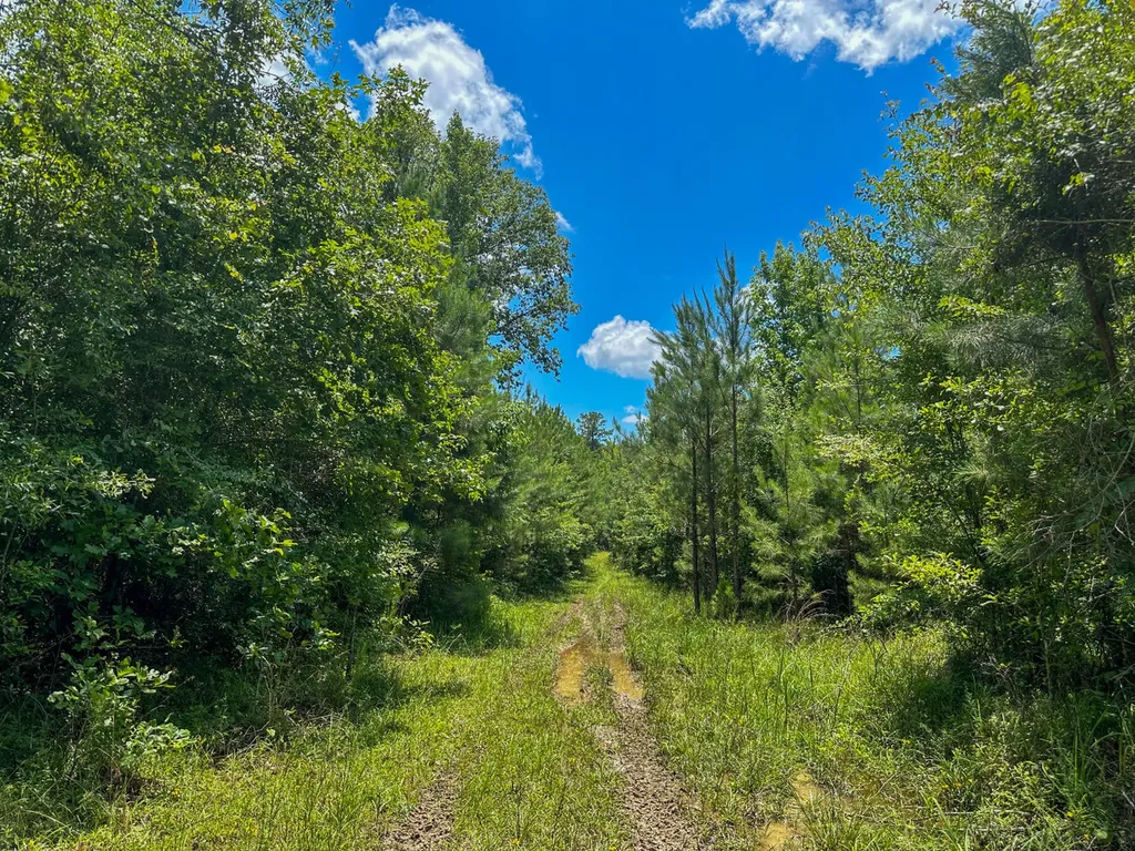 0 Oakley Road Hybart AL 36452