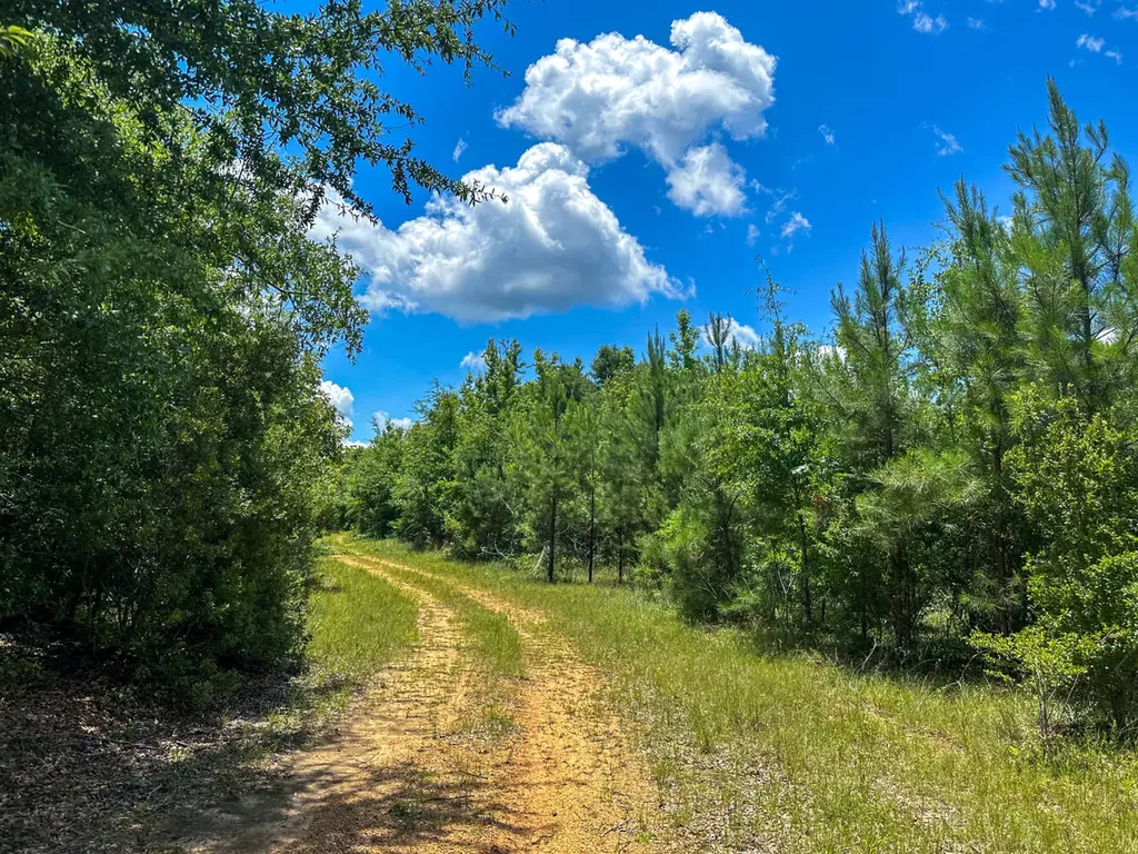 0 Oakley Road Hybart AL 36452
