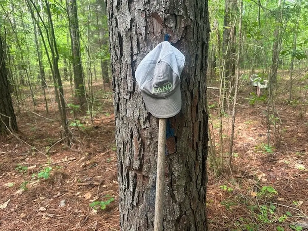 Highway 11 Red Bay AL 35582